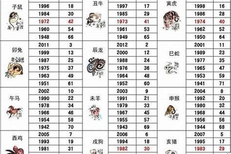 1971年生肖几岁|1971年现在多大了2024 1971年属猪2024年运势及运程